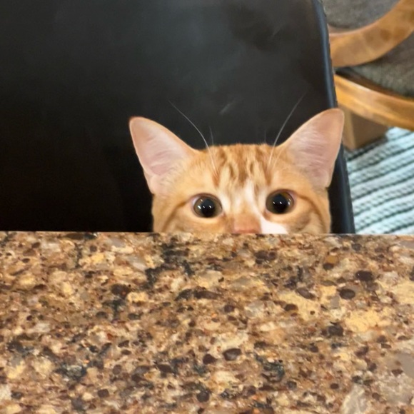 Welcome💖 About me⬇️ - Picture 3 of 4